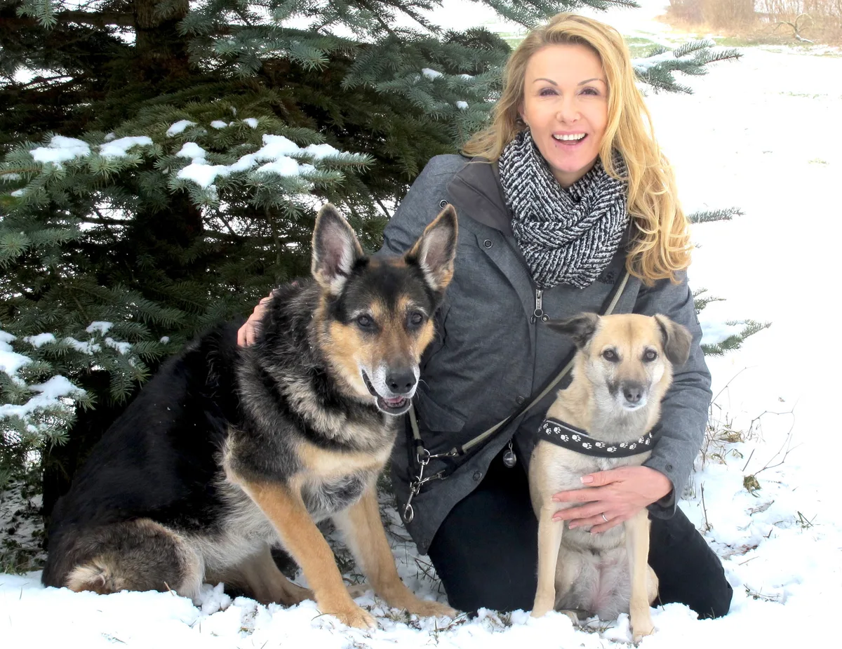Susy Utzinger mit Hunden
