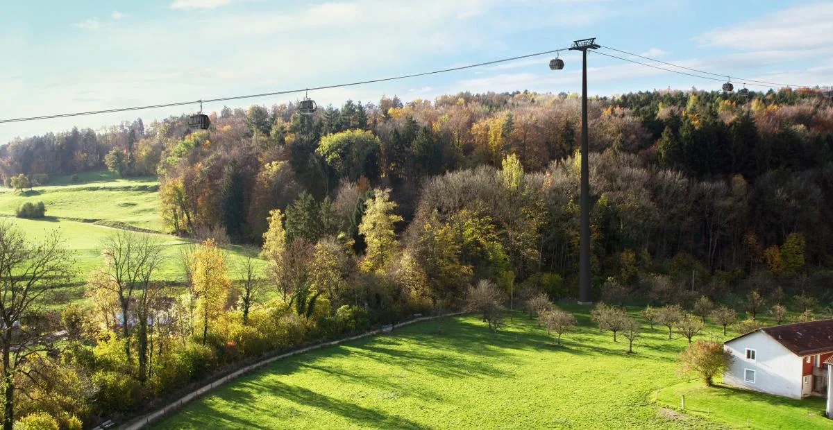 Eine Seilbahn über einem Wald.
