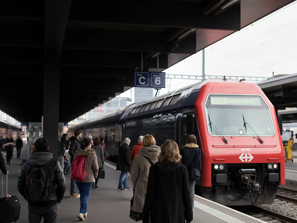 Ein einfahrender Zug.