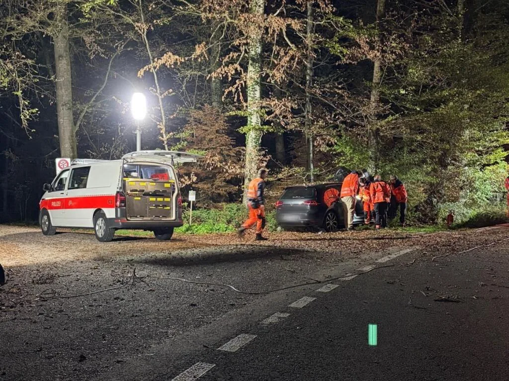 In der Nacht auf Samstag ereignete sich auf der Freudwilerstrasse in Wermatswil ein Selbstunfall. In der Nacht auf Samstag ereignete sich auf der Freudwilerstrasse in Wermatswil ein Selbstunfall.