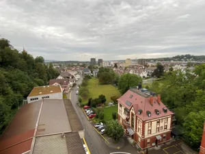 23006362-2 Wiese am Aabach, Zufahrtstrasse zur Brauerei Uster.