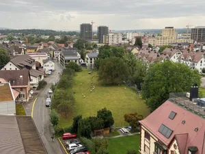 21677171-6 Wiese am Aabach, Zufahrtstrasse zur Brauerei Uster.