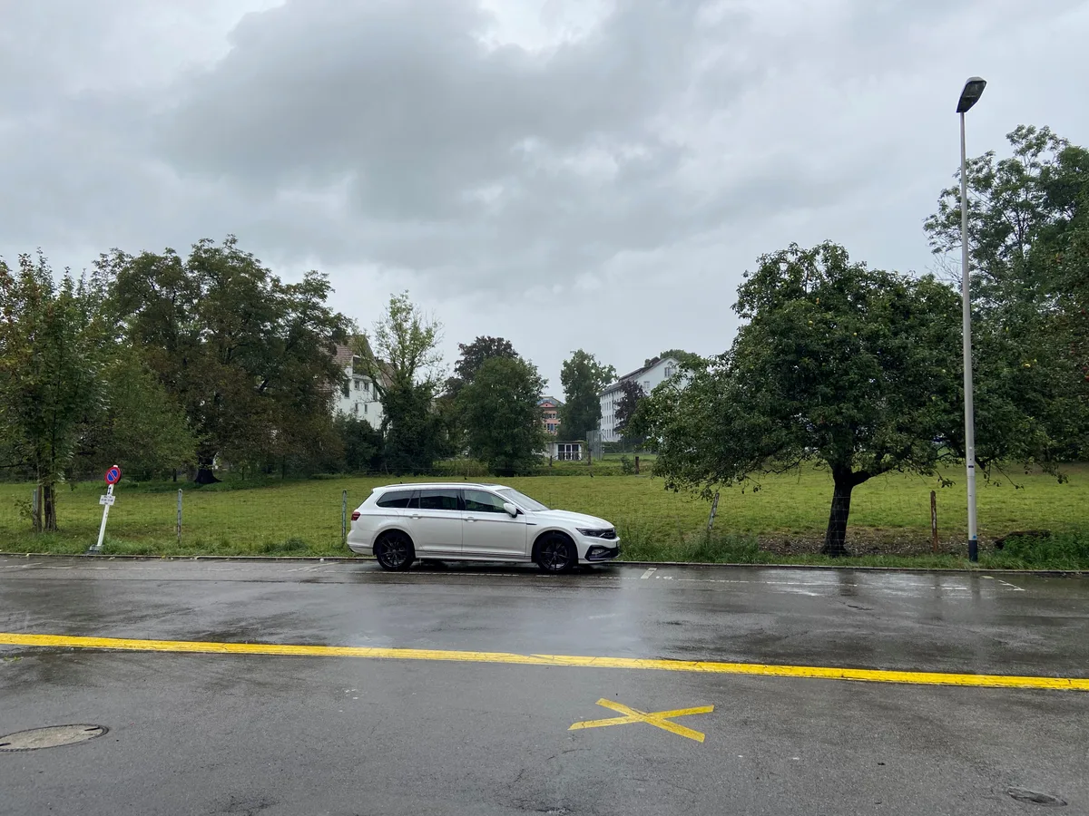 Die Wiese am Aabach, davor ein Parkplatz.