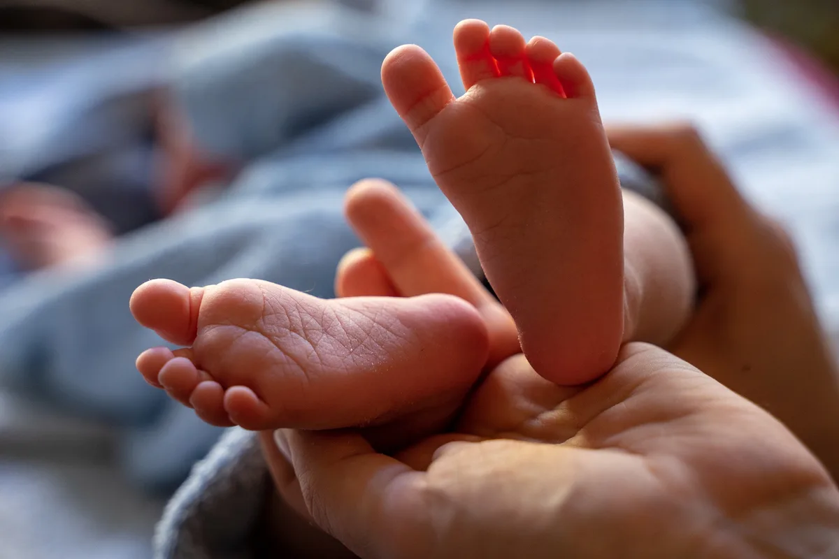15219316-15 tbd