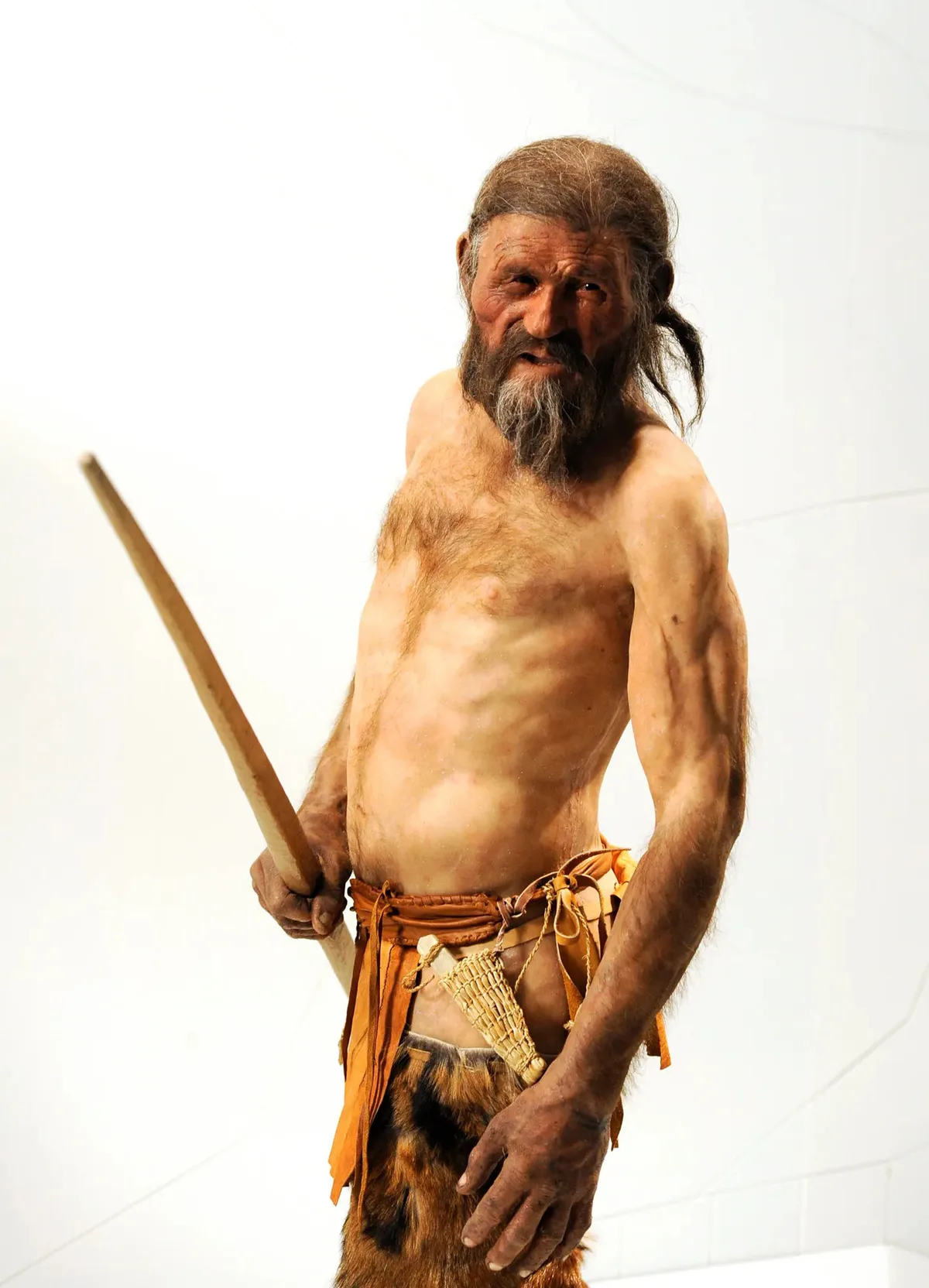 Auch Ötzi trug einst ein Kupferbeil bei sich. Hier eine Nachbildung des Mannes aus dem Eis aus dem Archäologischen Museum in Bozen. Urzeitmensch