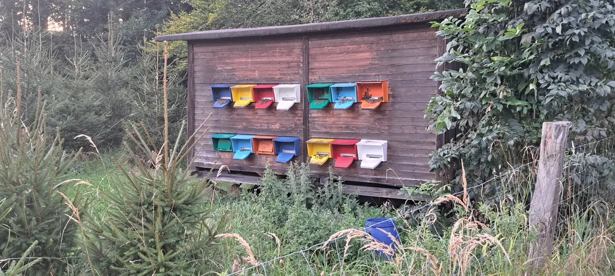Bienenwagen.