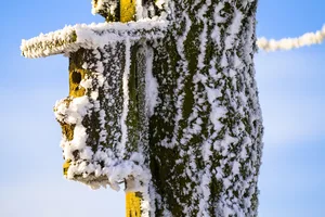 Ein Vogelhäuschen im Schnee. Ein Vogelhäuschen im Schnee.