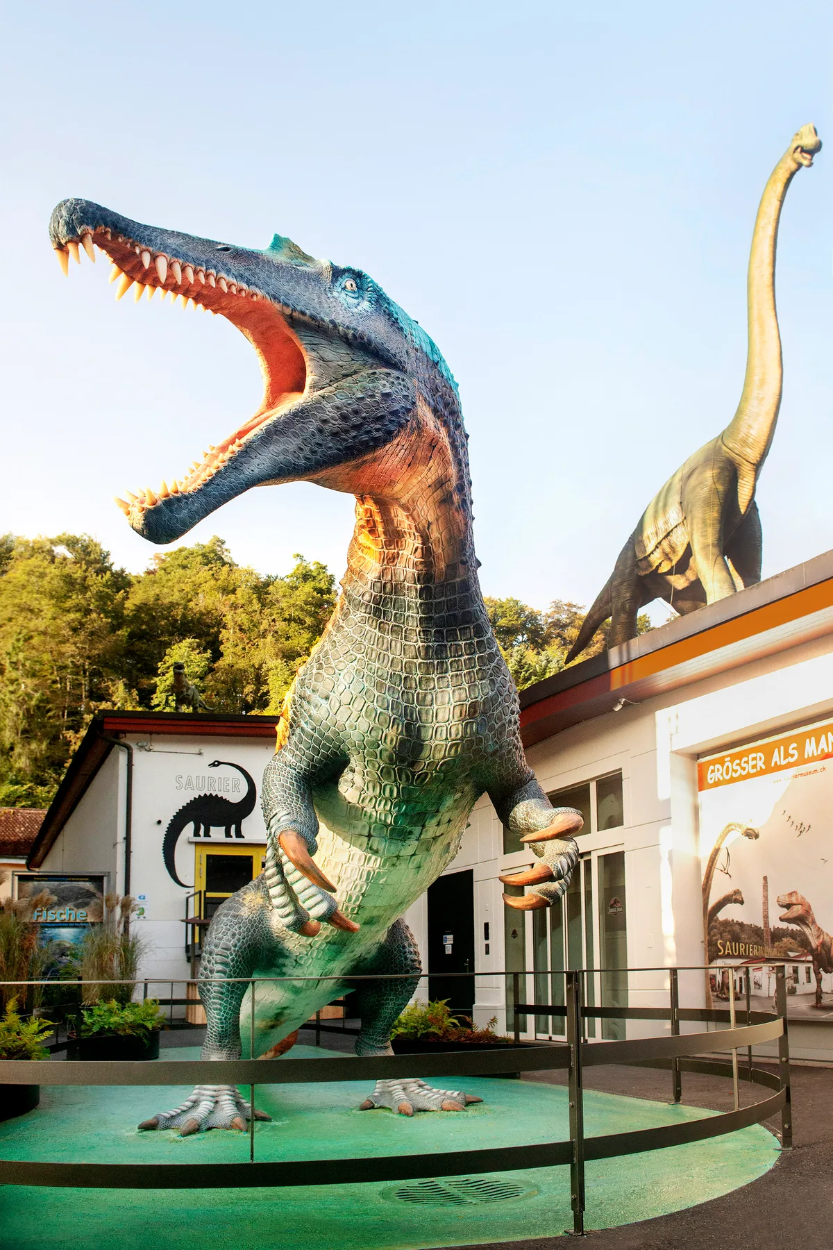 Ein Modell eines Spinosaurus aegyptiacus vor dem Sauriermuseum Aathal.