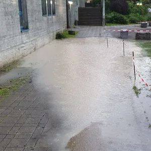 22322641-1 Laub können Abflüsse verstopfen