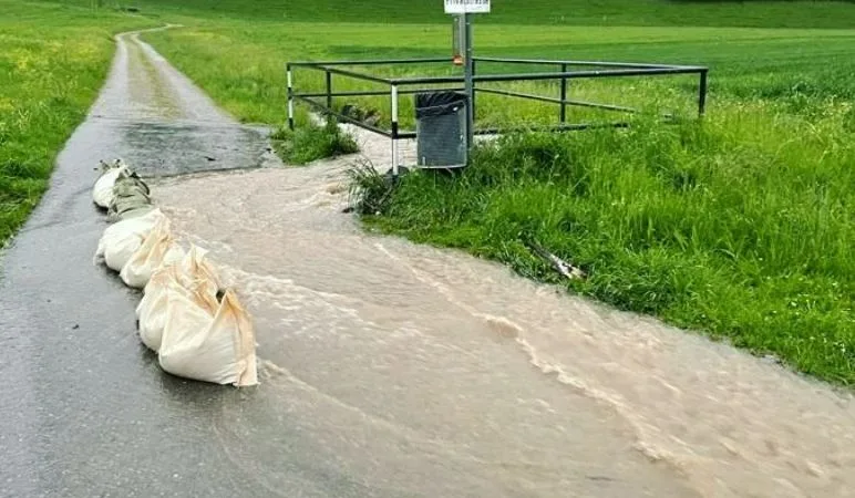 Ein stehendes Gewitter mit Starkregen traf Wald heftig.