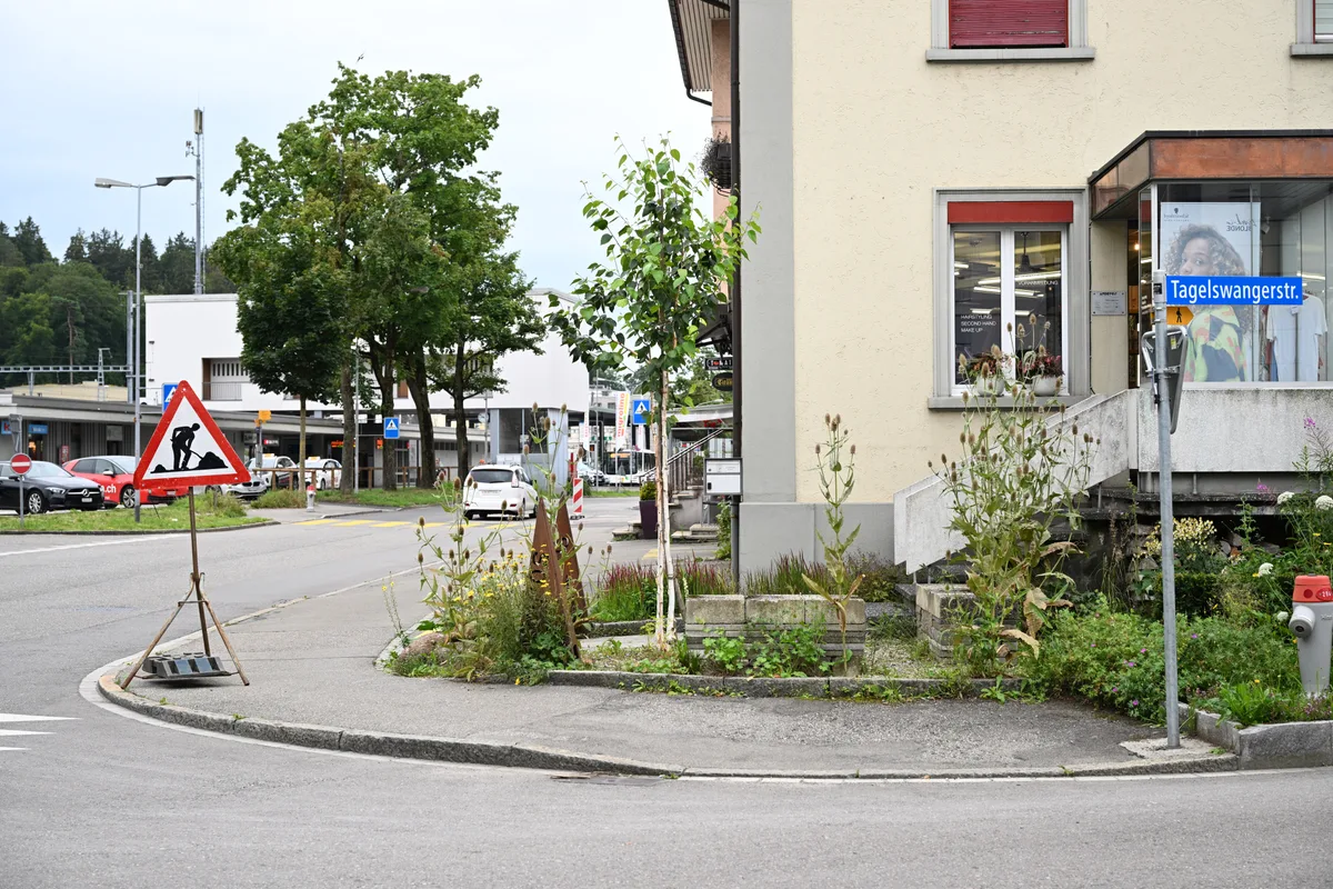 Bei Neubau-, Umbau- und Sanierungsprojekten ab sechs Wohneinheiten sind in Illnau-Effretikon ökologische Ausgleichsflächen Pflicht. Positive und negative Gartenbeispiele in Effretikon – Rundgang durch ein typisches Quartier mit Marc Weiss, dem Leiter Bereich Naturschutz.