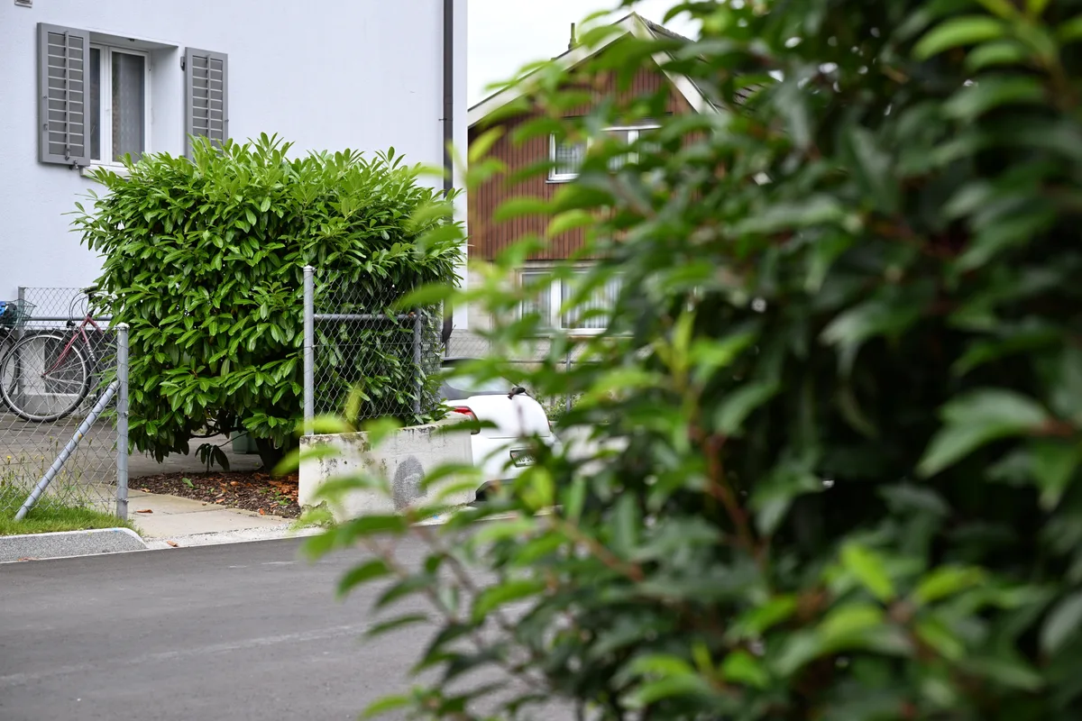 Kirschlorbeer findet sich überall im Quartier. Ab dem 1. September darf er schweizweit nicht mehr neu gepflanzt werden. Positive und negative Gartenbeispiele in Effretikon – Rundgang durch ein typisches Quartier mit Marc Weiss, dem Leiter Bereich Naturschutz.