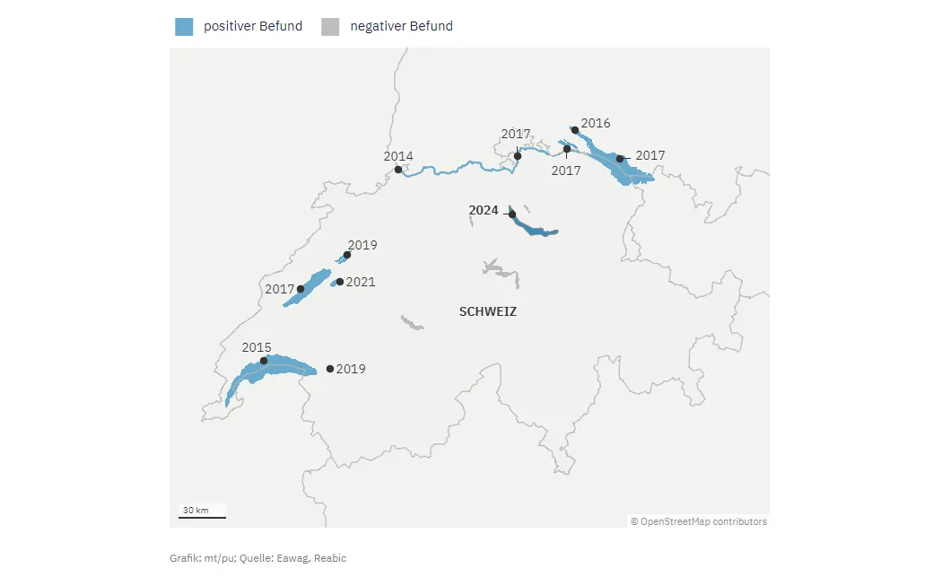 Überprüfte Gewässer und Jahr der Erstentdeckung. Die Quaggamuschel hat jetzt auch den Zürichsee erreicht. Grafik