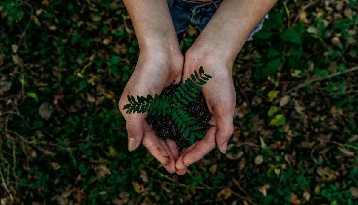 Drei Unternehmen aus dem Oberland sind für den Green «Green Business Award» nominiert worden. (Symbolbild)