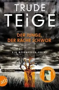 Buchcover «Der Junge, der Rache schwor».