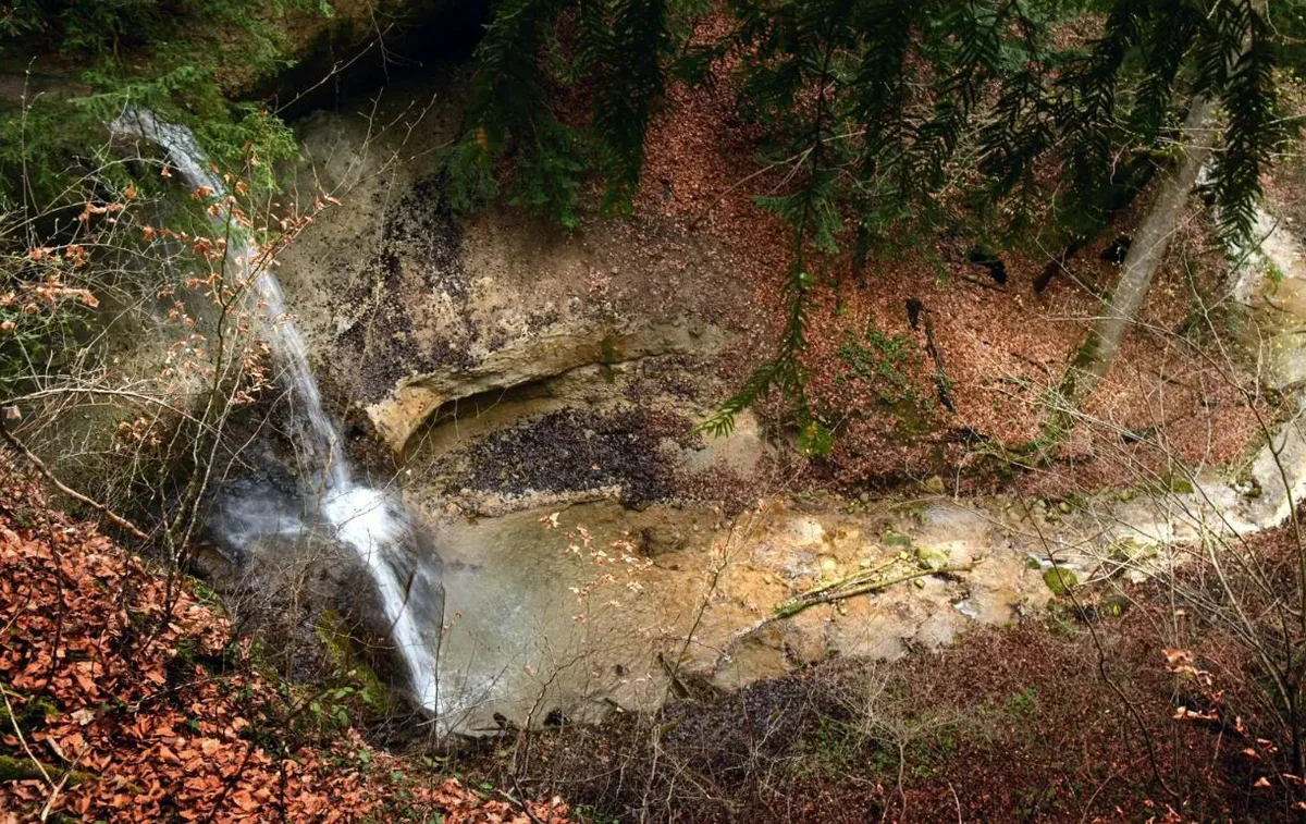 Ein Baugespann mitten im Wald bei Billikon macht neugierig. Das Projekt gehört zur «Freizeit-Offensive» der Stadt Illnau-Effretikon.