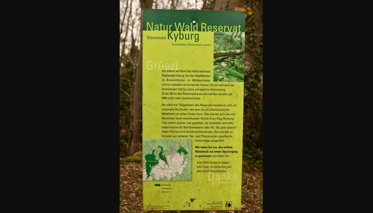 Ein Baugespann mitten im Wald bei Billikon macht neugierig. Das Projekt gehört zur «Freizeit-Offensive» der Stadt Illnau-Effretikon.