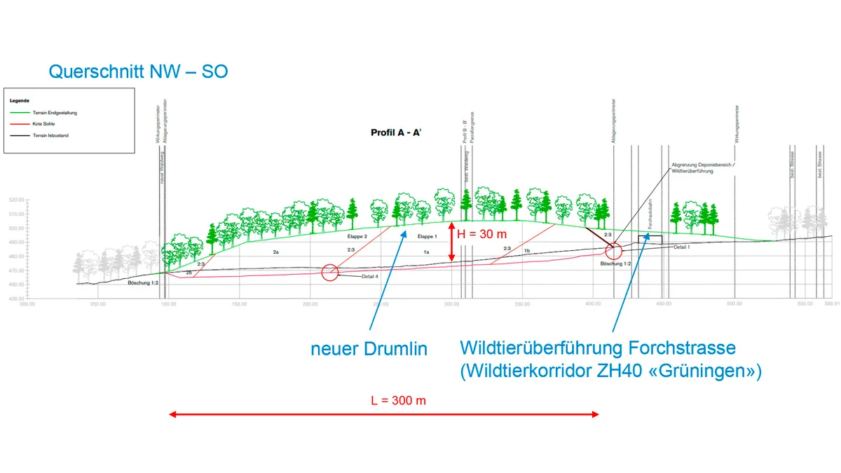 Querschnitt des Tägernauer Walds. Eingezeichntet, wo der Drumlin und die Wildtierüberführung Forchstrasse hinkommt.