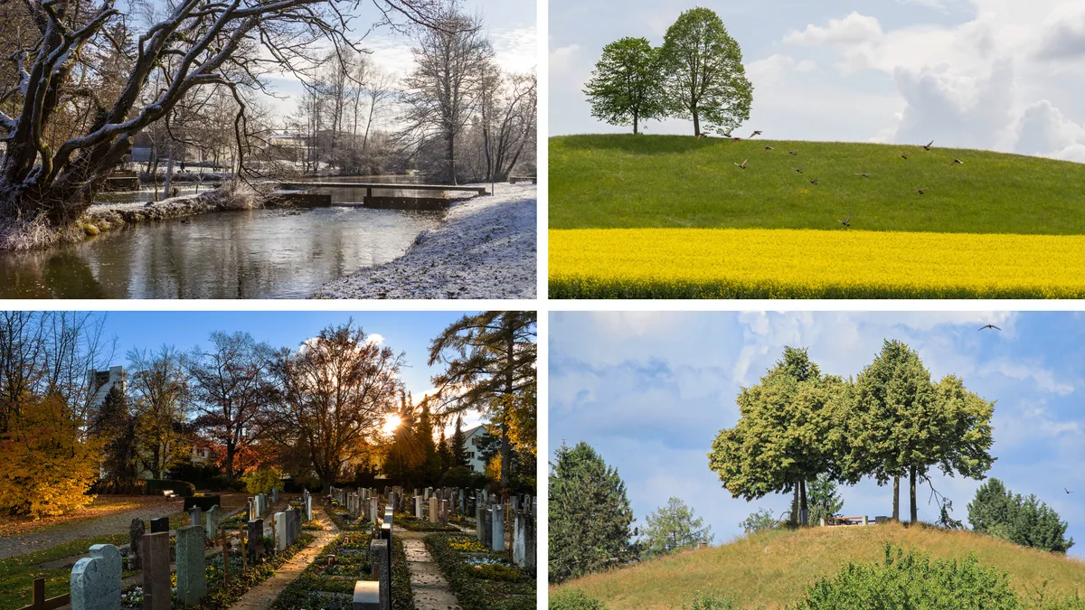 21261608-4 Collage aus je einem Bild pro Jahreszeit