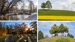 21261608-4 Collage aus je einem Bild pro Jahreszeit