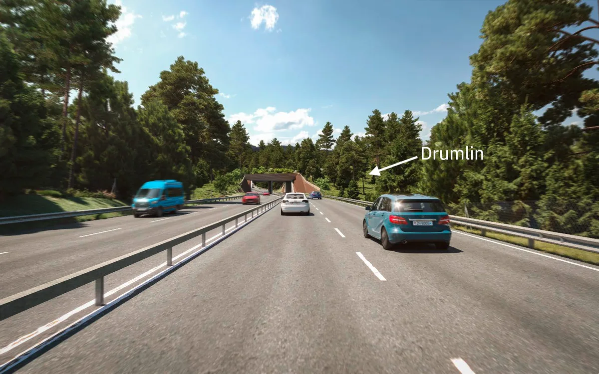 Blick als Autofahrer von der Strasse. Rechts im Waldstück der Drumlin markiert. Der Jungwald wächst.