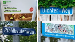 Collage mit den Lehrpfaden der Region Collage mit den Lehrpfaden der Region