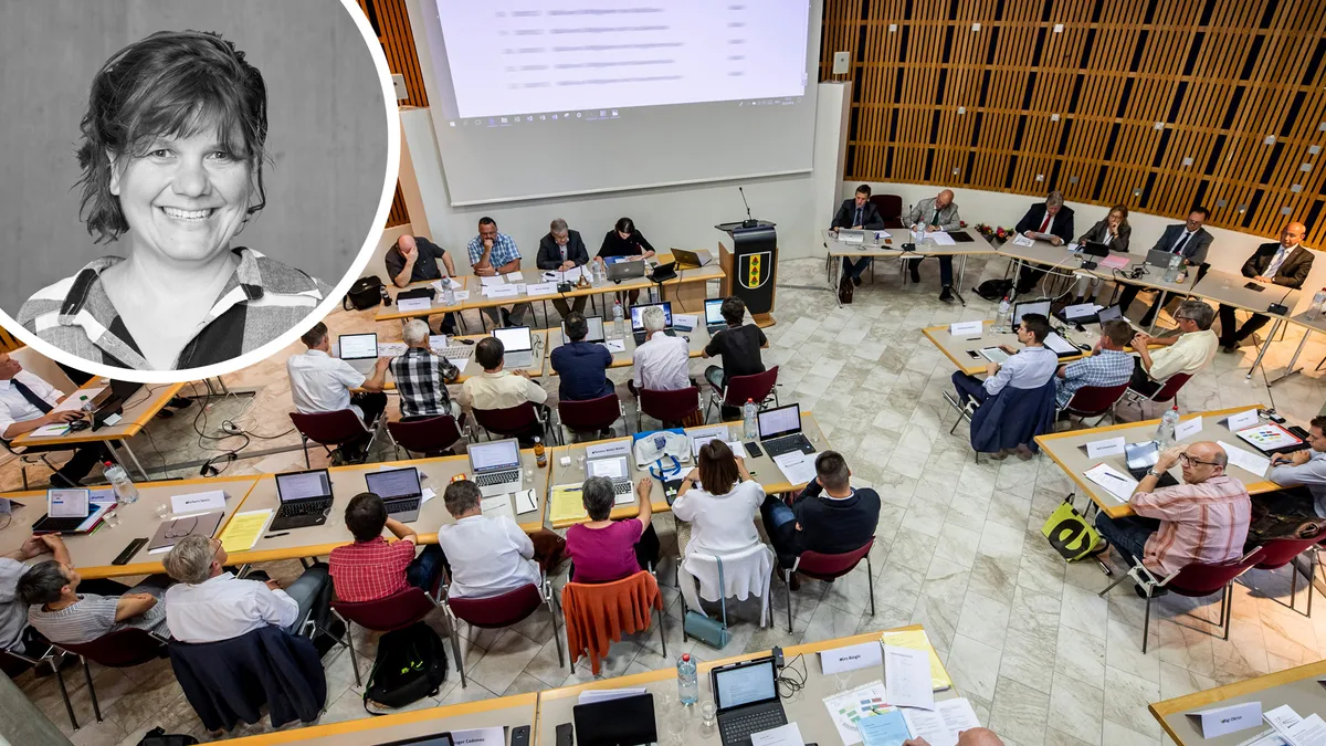 Parlamentarier sind die Volksvertreter und das Volk soll seine Stimme  haben, unabhängig von längeren beruflichen oder gesundheitlichen Ausfällen von Parlamentariern.